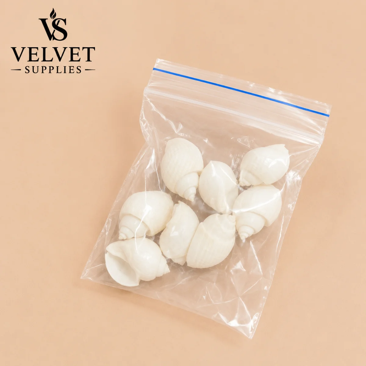 Shells - Type 1(1 Pack)