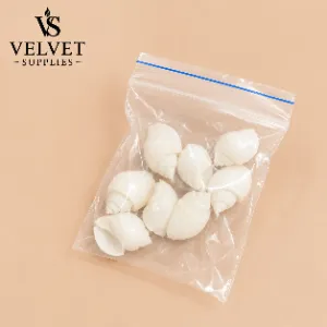 Shells - Type 1(1 Pack)