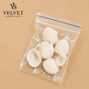 Shells - Type 1(1 Pack)