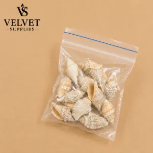 Shells - Type 5(1 Pack)