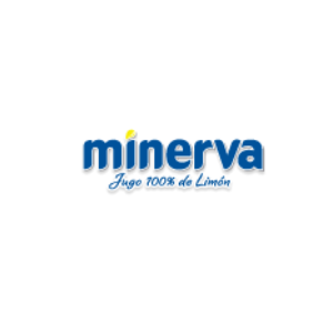 Minerva