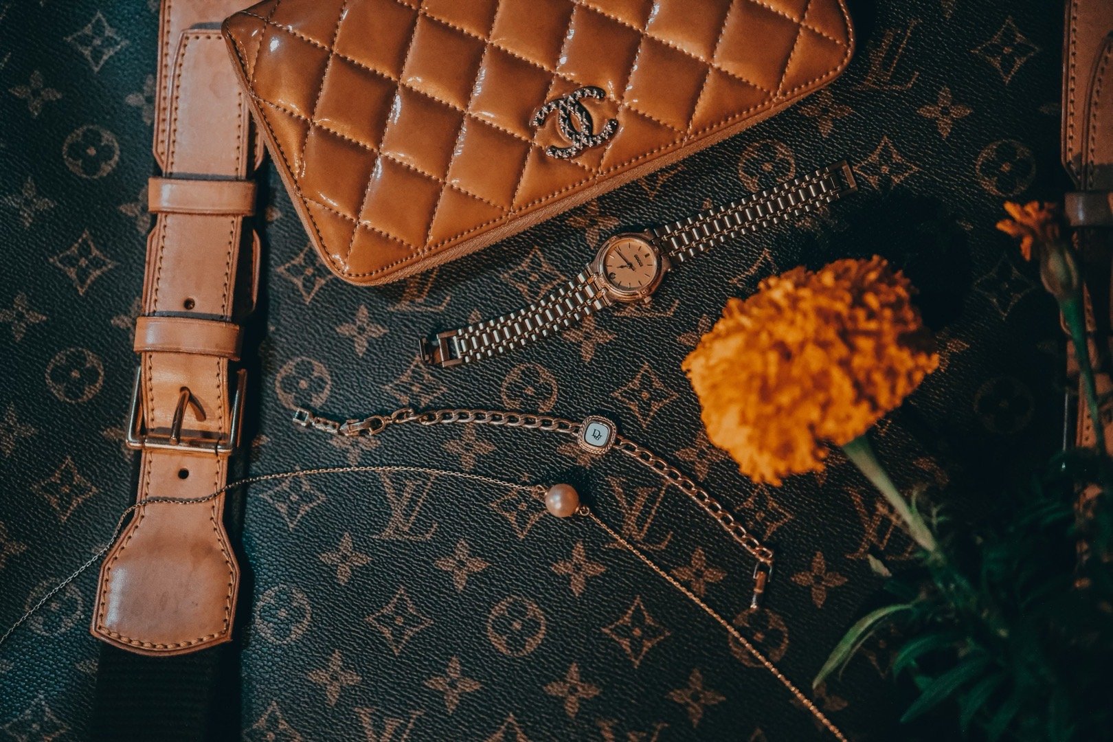 Portfolio 1