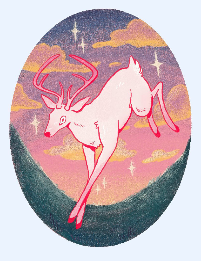 Portfolio 5