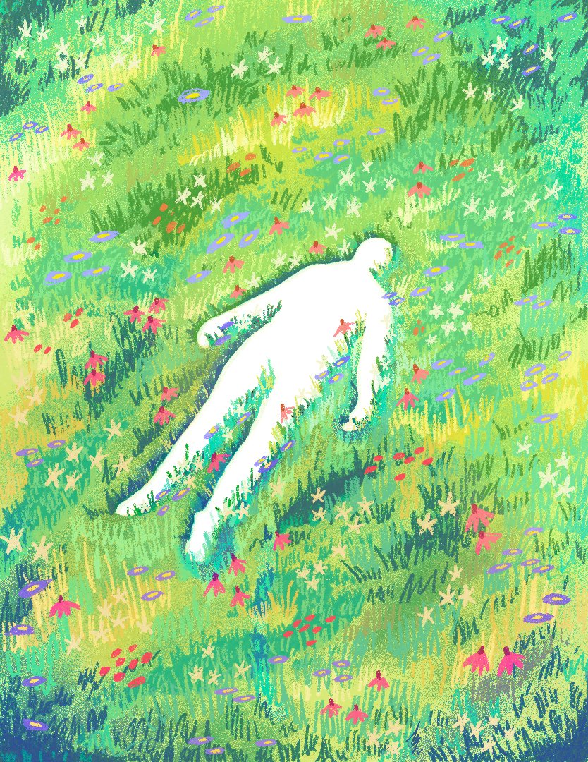 Portfolio 7