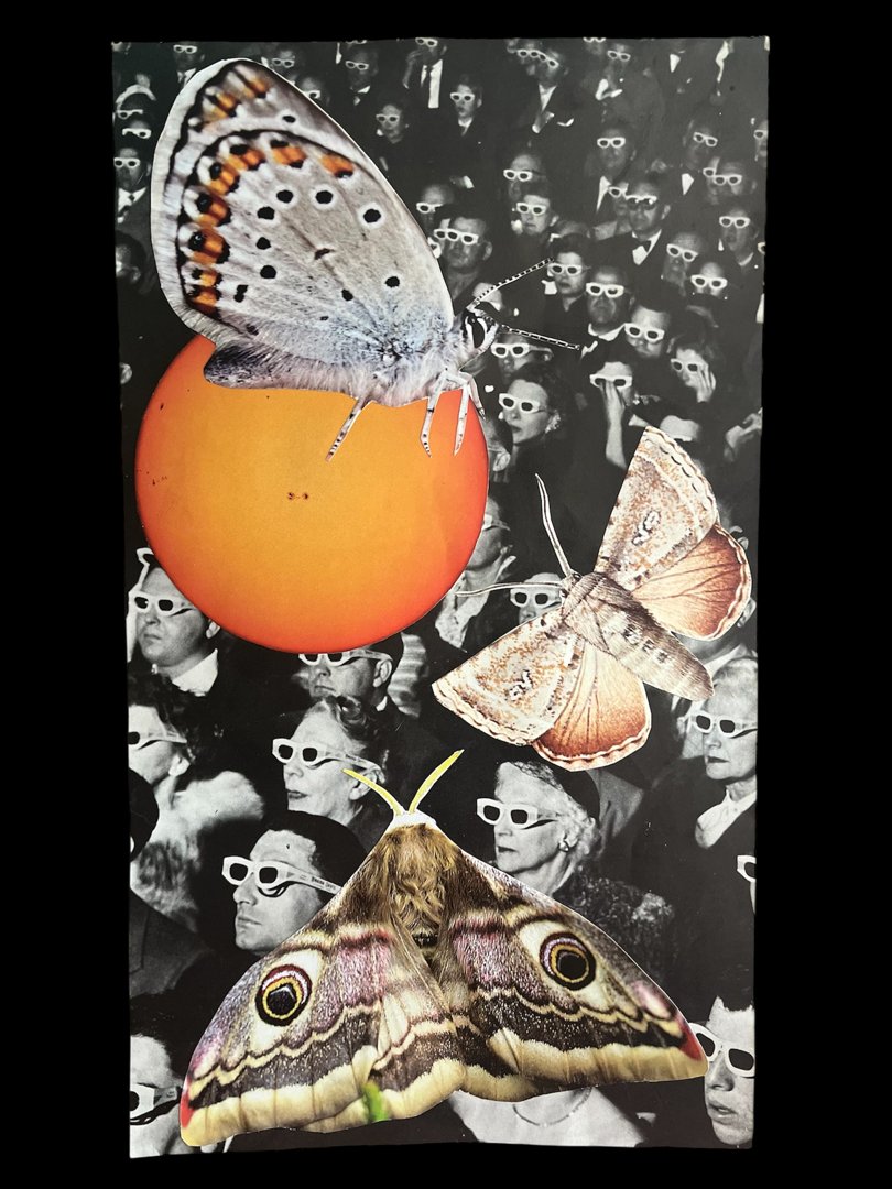 Portfolio 6