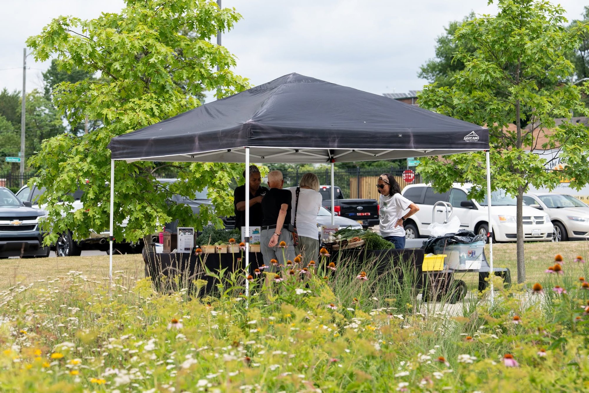 Meldrum Fresh Market Community Pop-Up Market