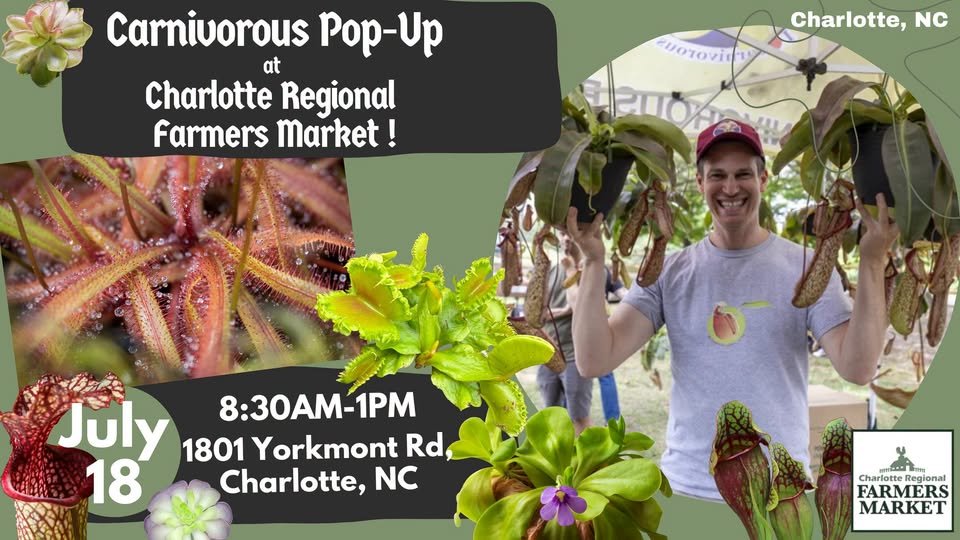 Carnivorous Pop-Up at Charlotte Regional Farmers Market