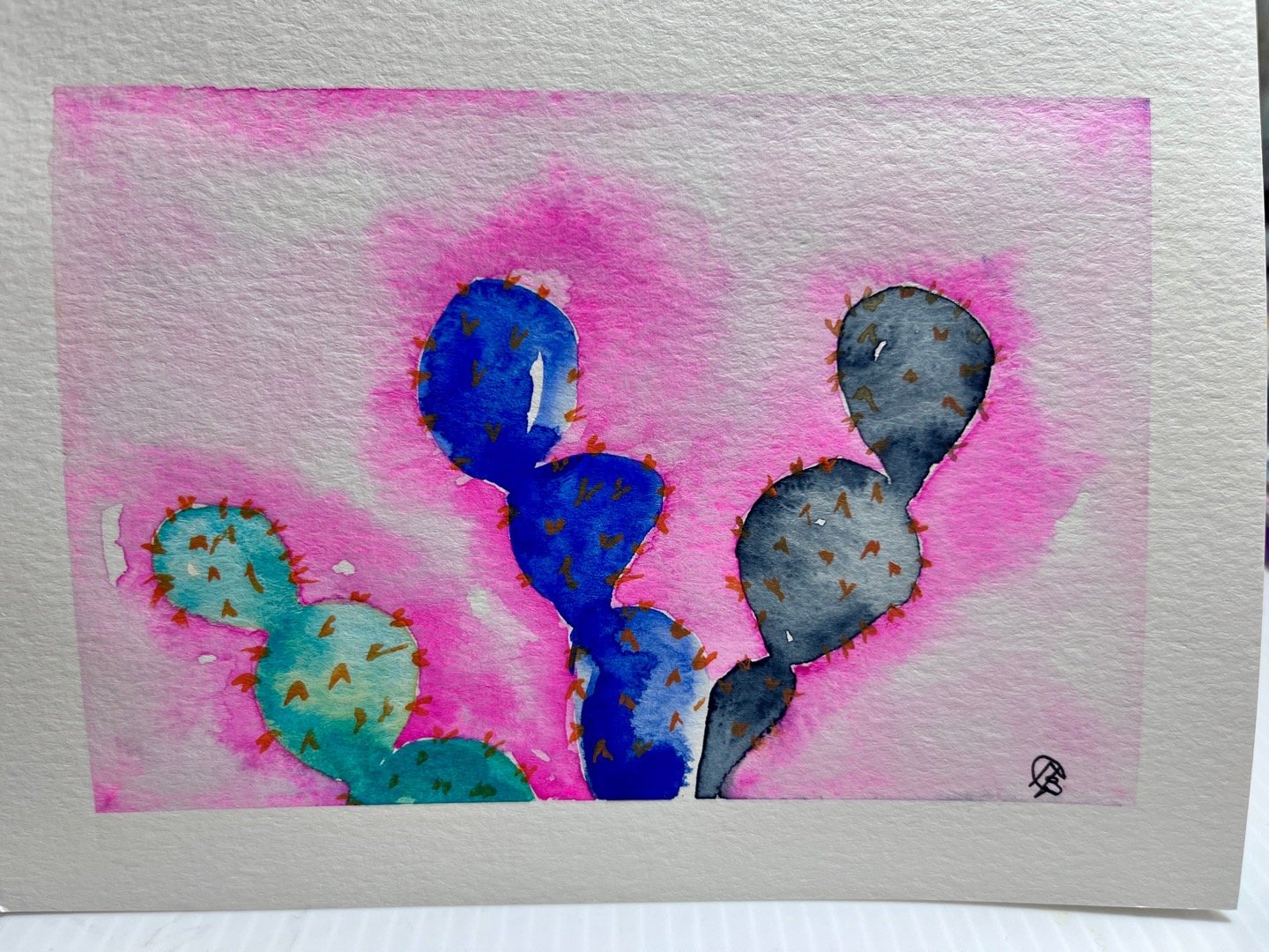 Portfolio 14