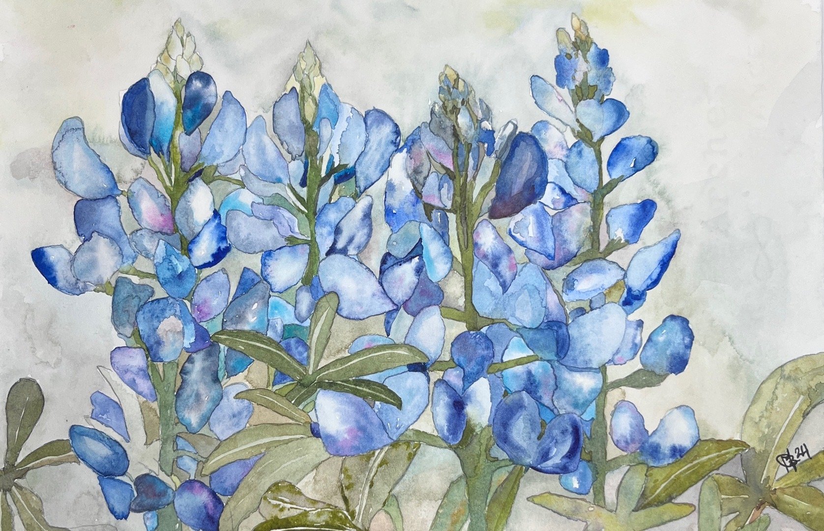Portfolio 25