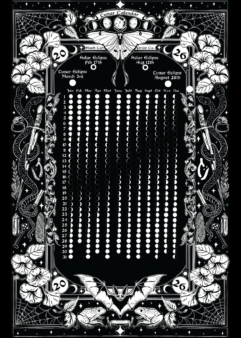 Portfolio 5