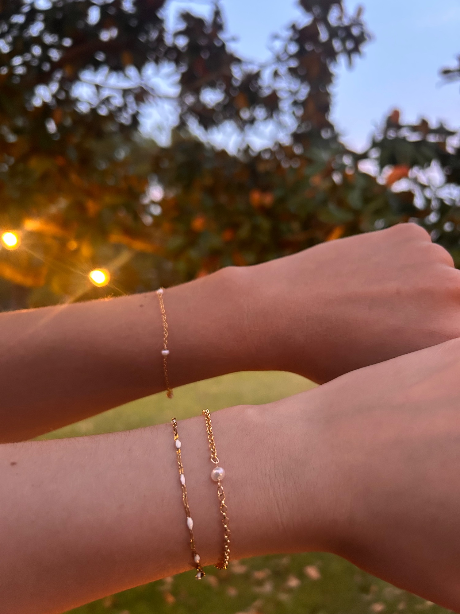 Portfolio 5
