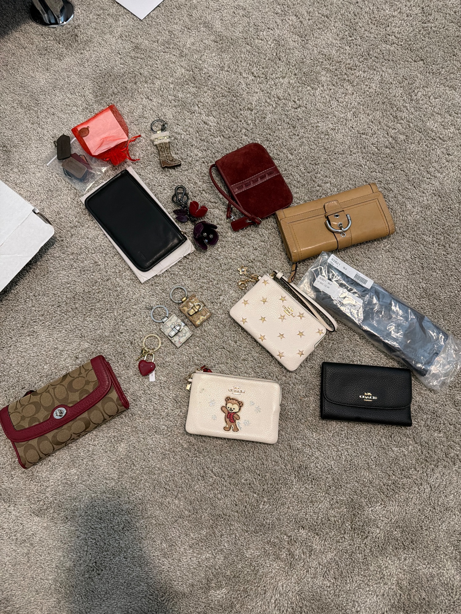 Portfolio 5