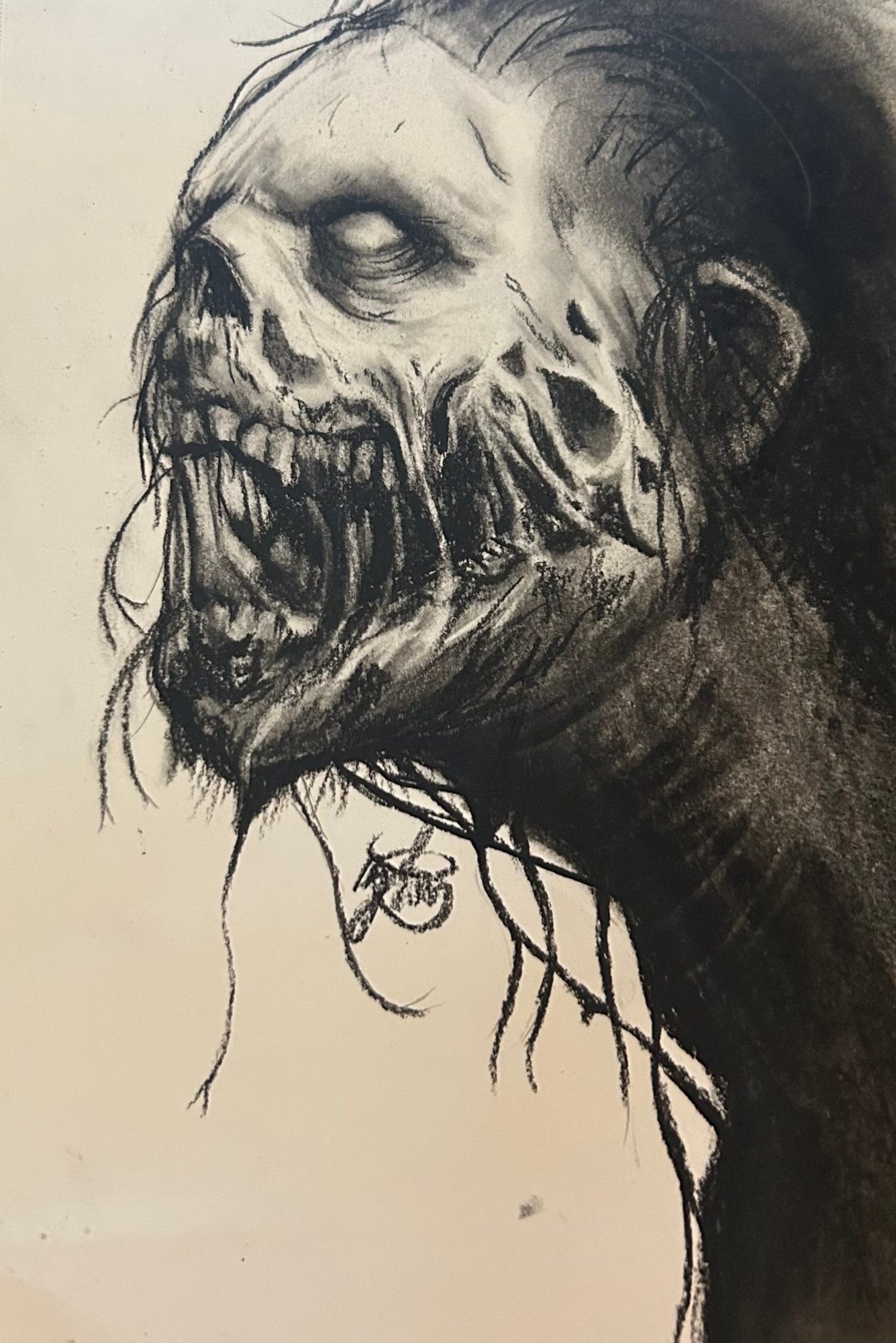 Portfolio 13