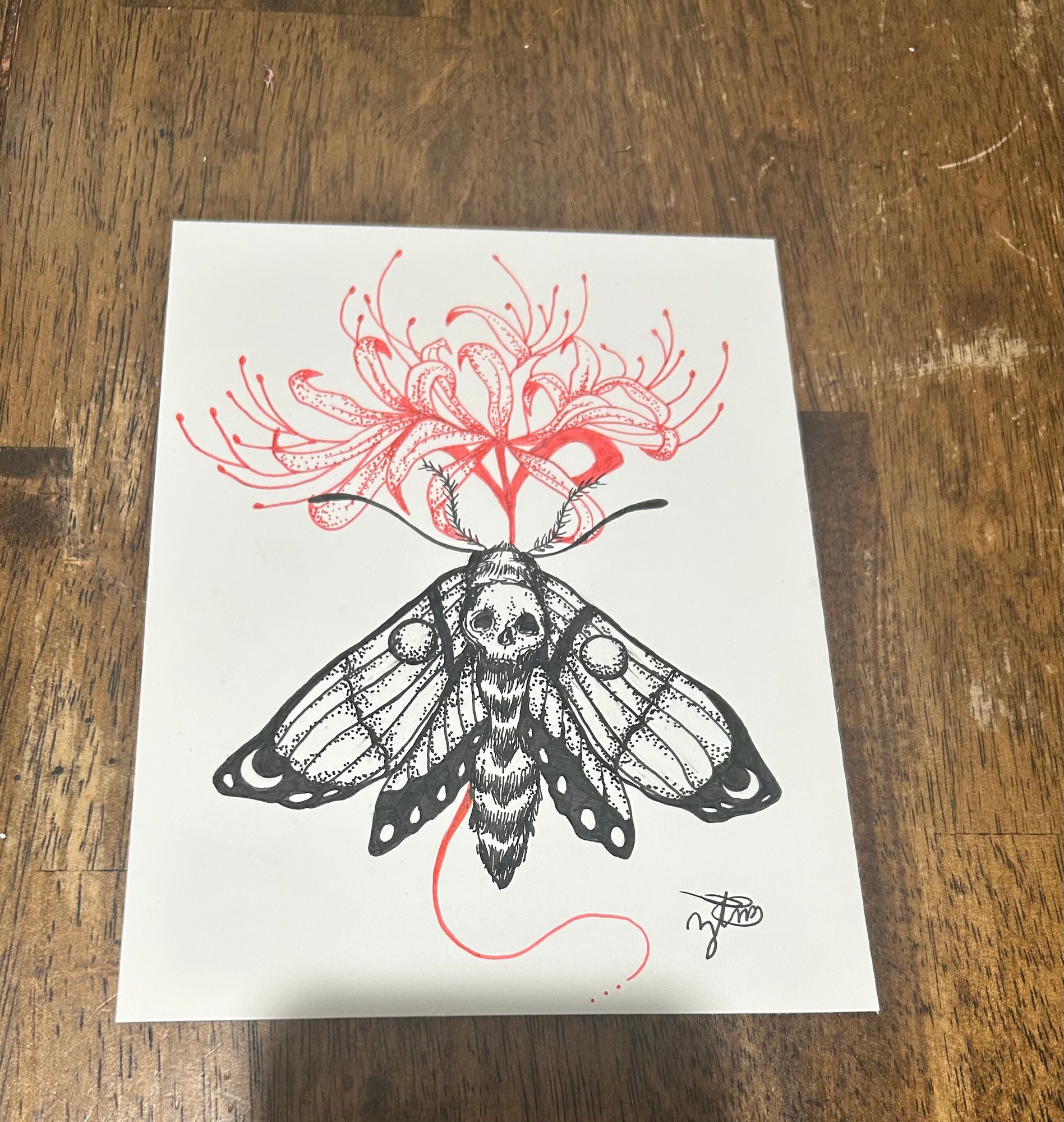 Portfolio 18