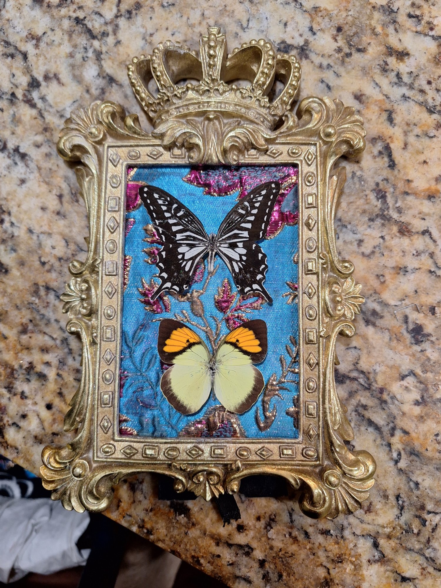 Portfolio 3
