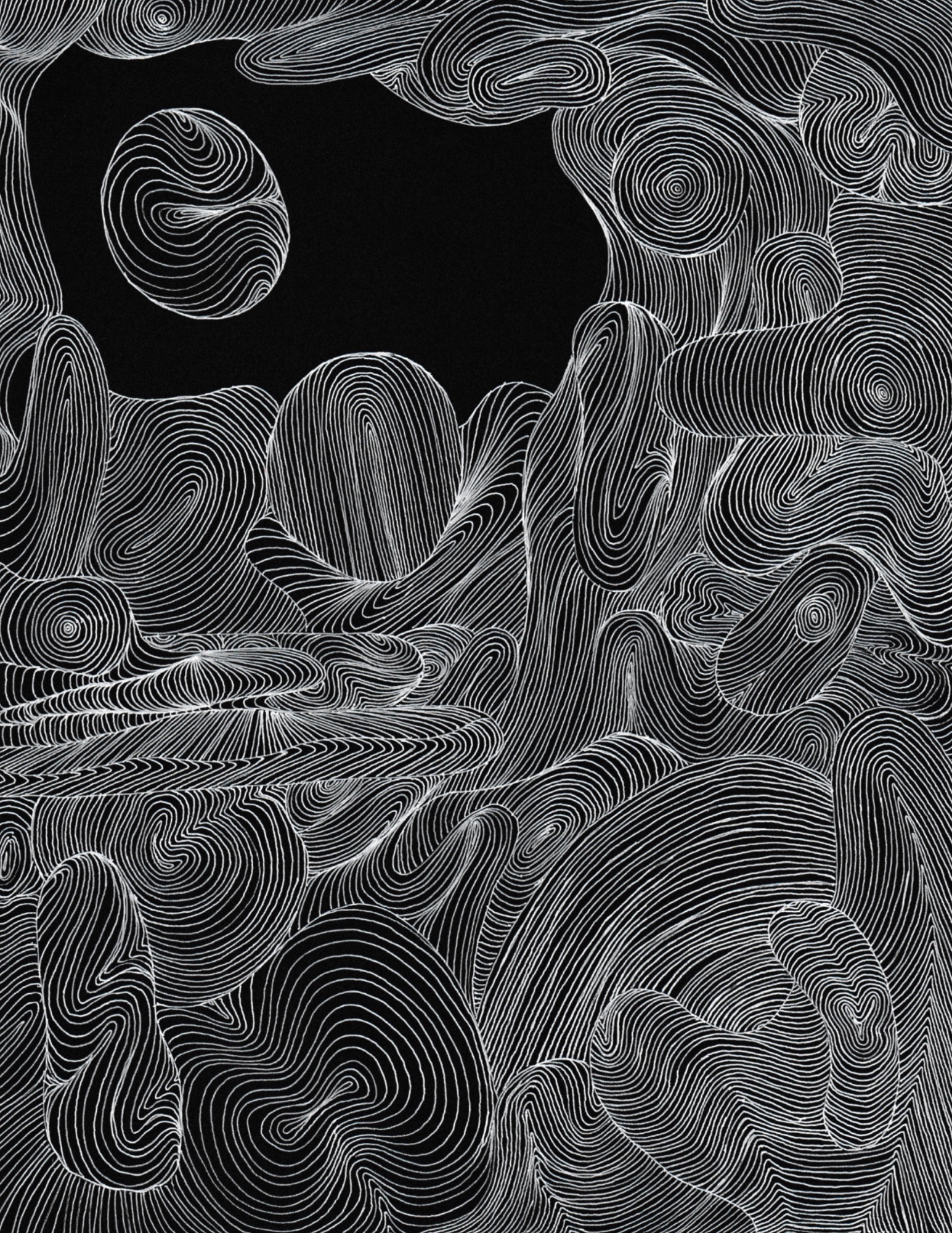 Portfolio 5