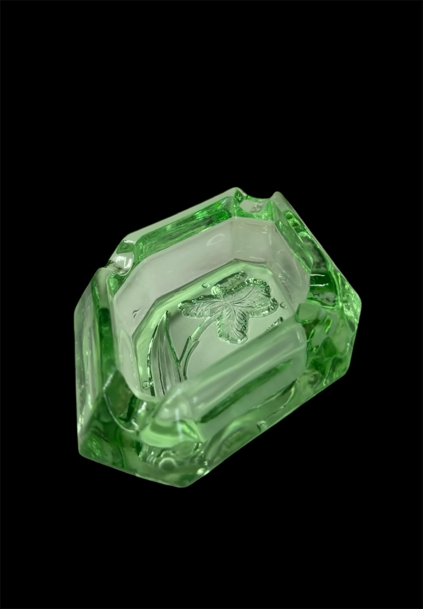 Portfolio 7