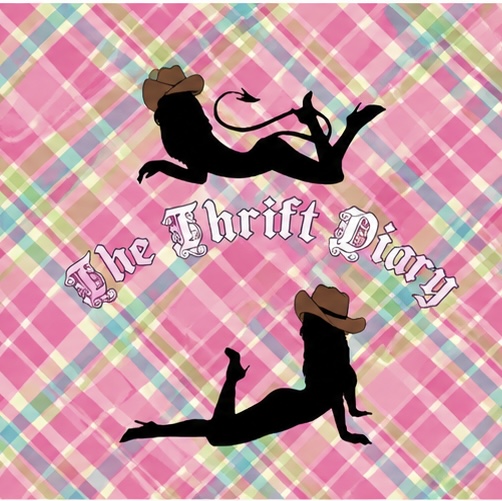 TheThriftDiary