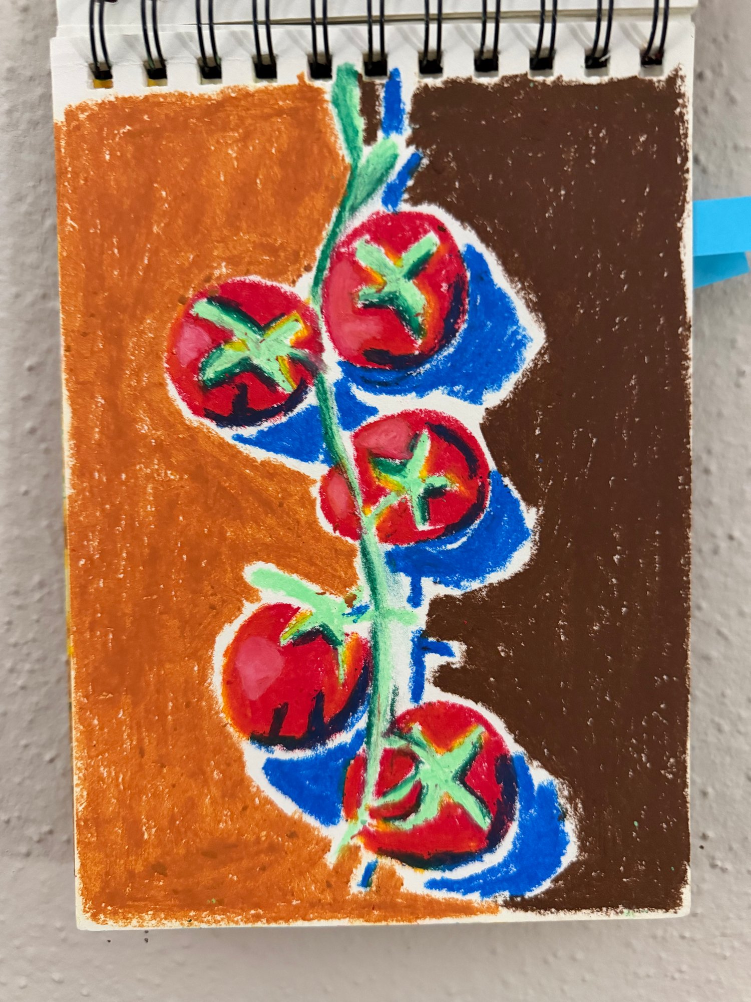 Portfolio 6