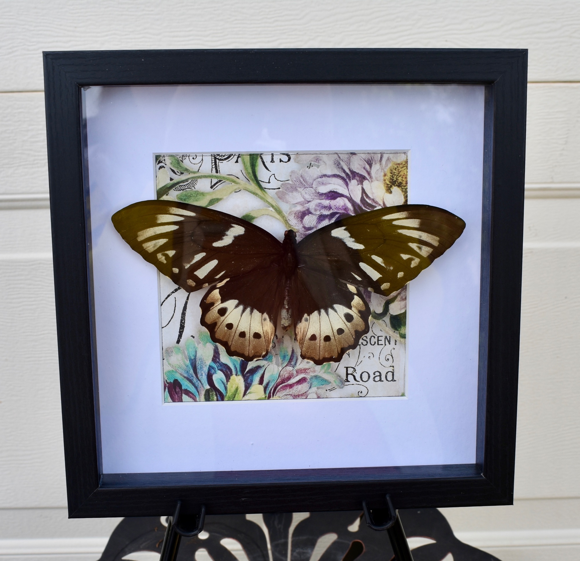Portfolio 1