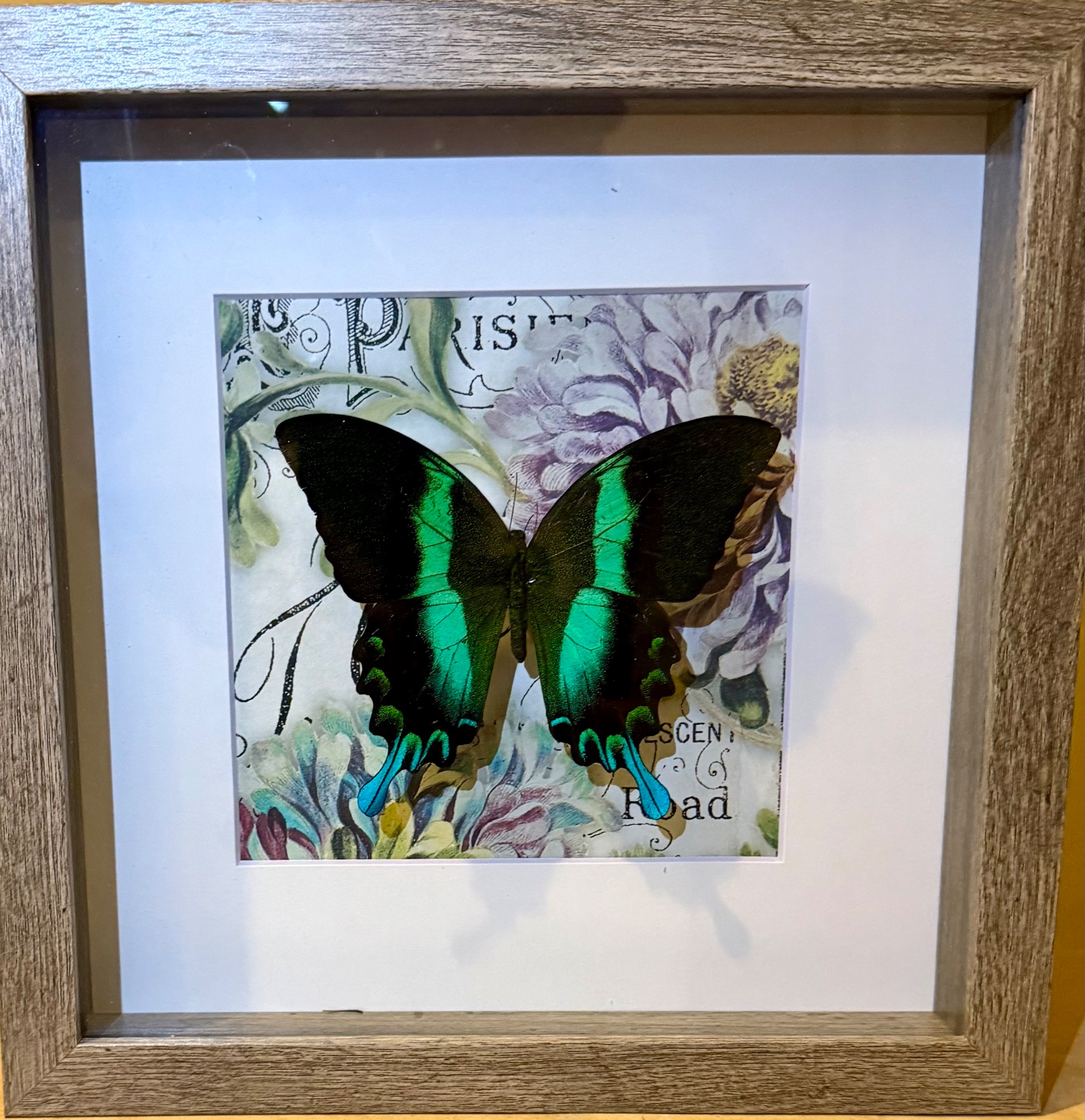 Portfolio 5