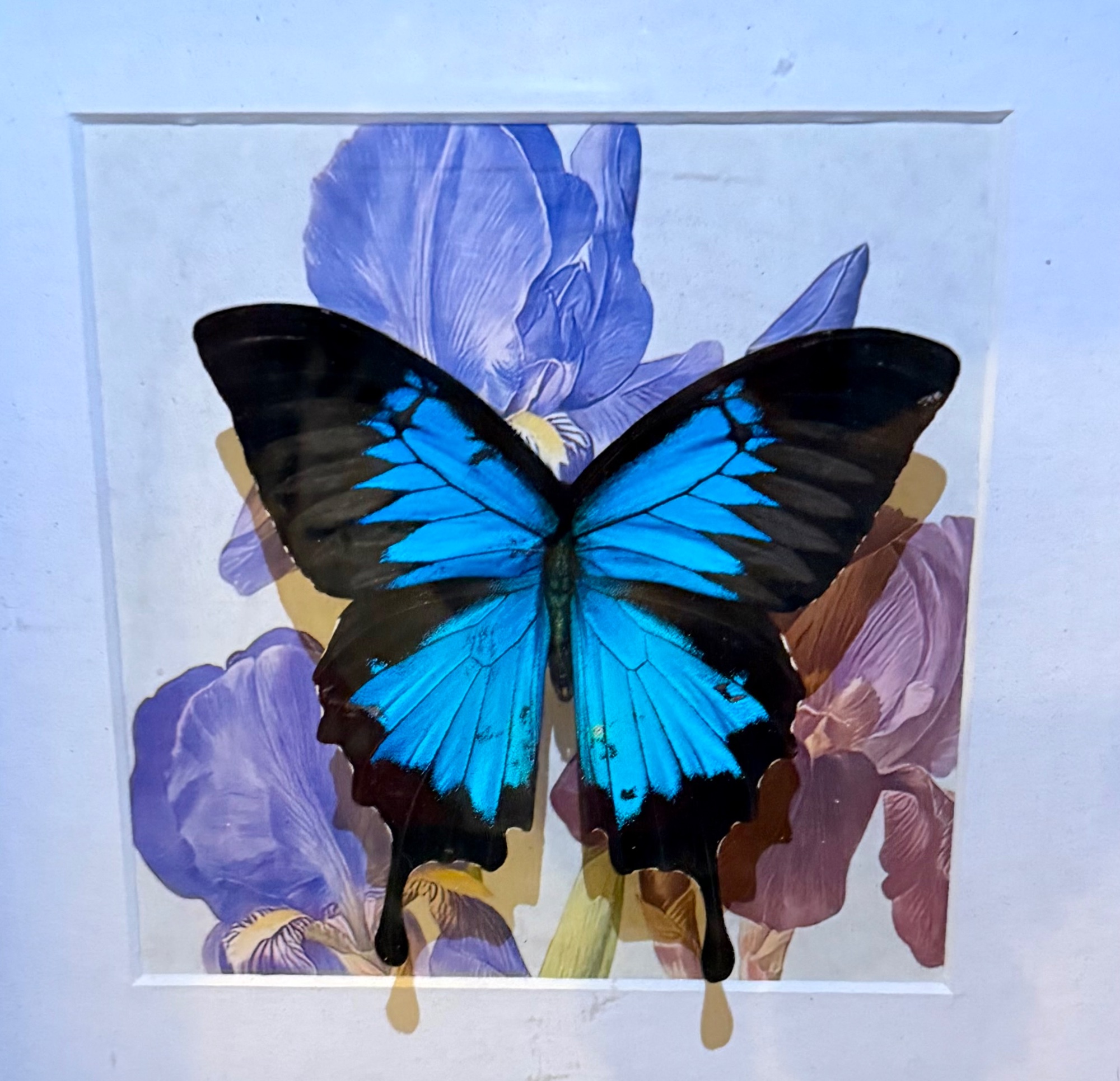 Portfolio 6
