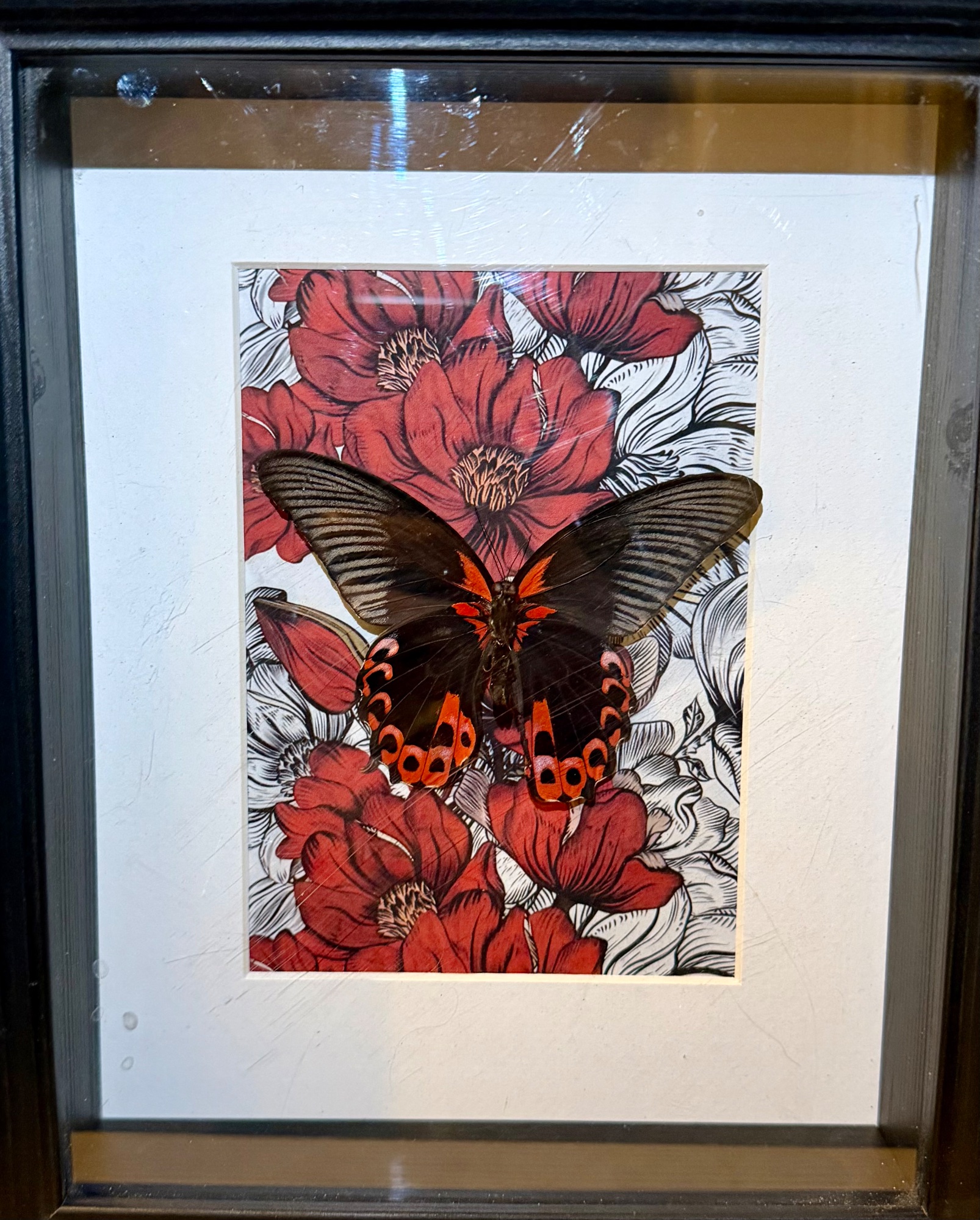 Portfolio 8
