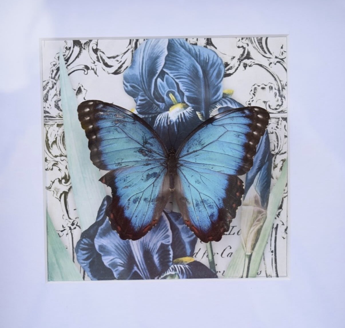 Portfolio 9