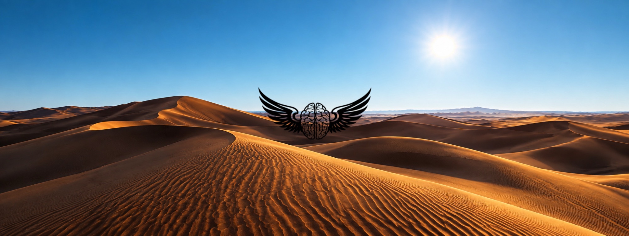 Profile header