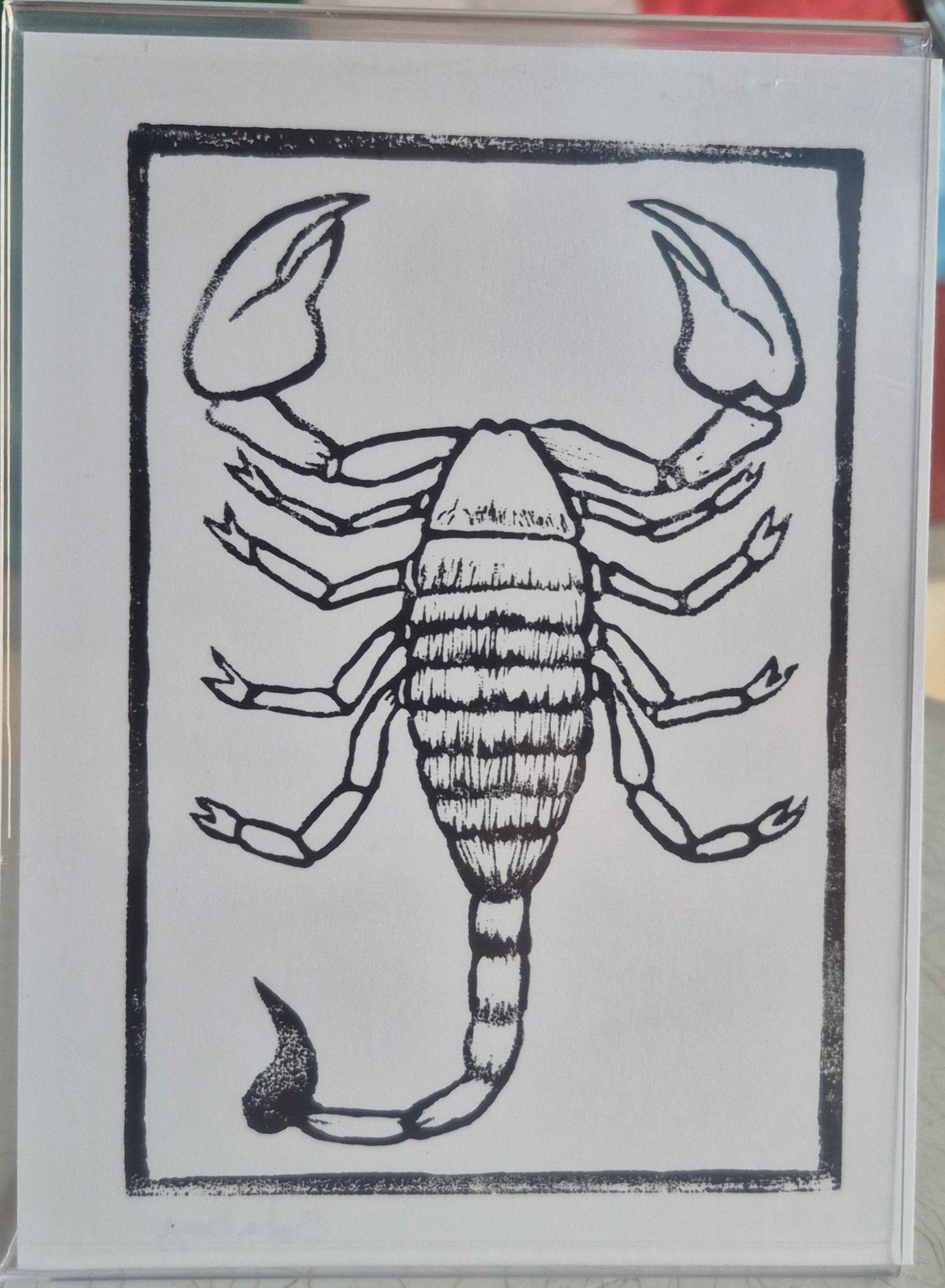 Portfolio 6