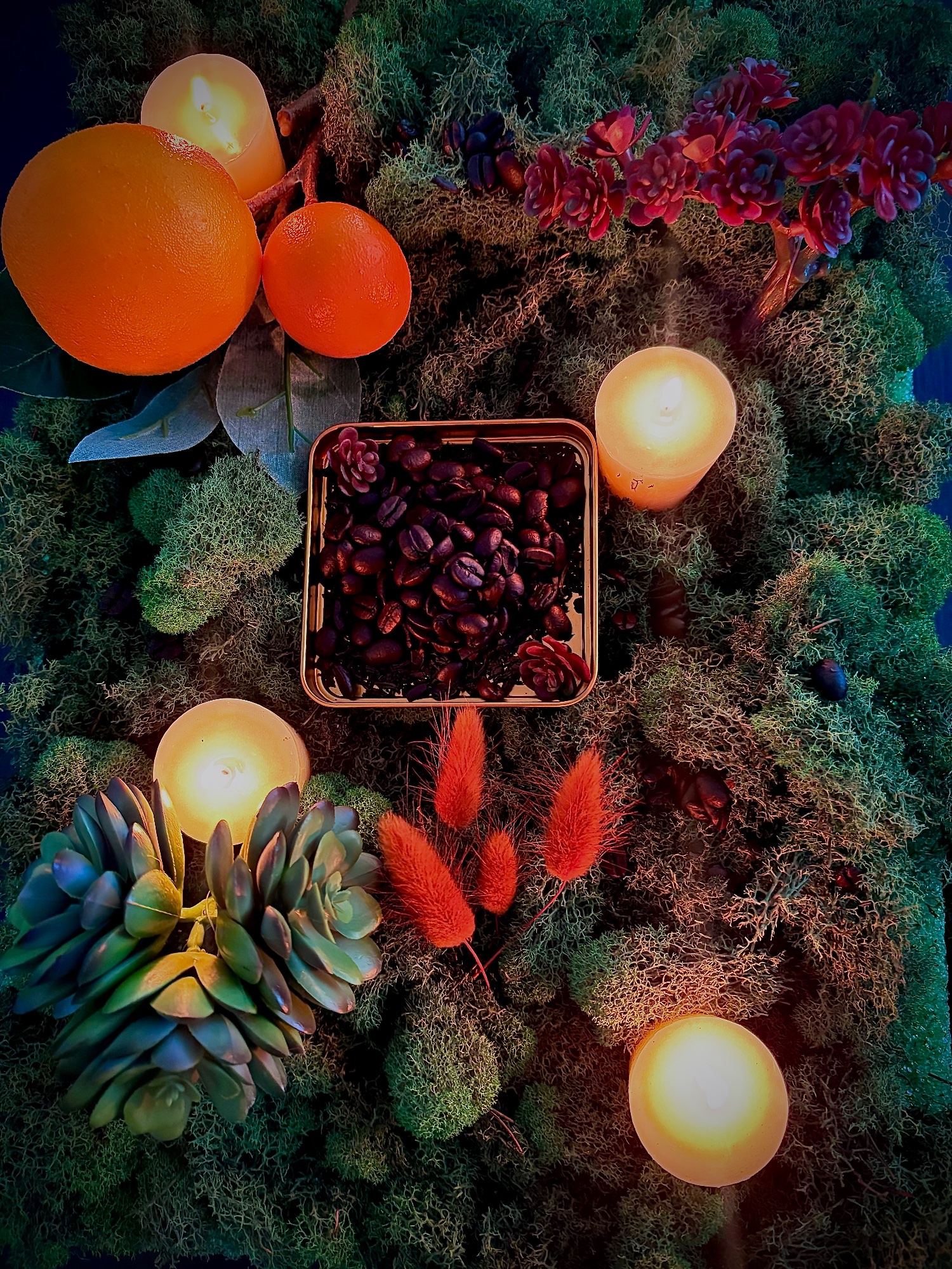 Portfolio 3