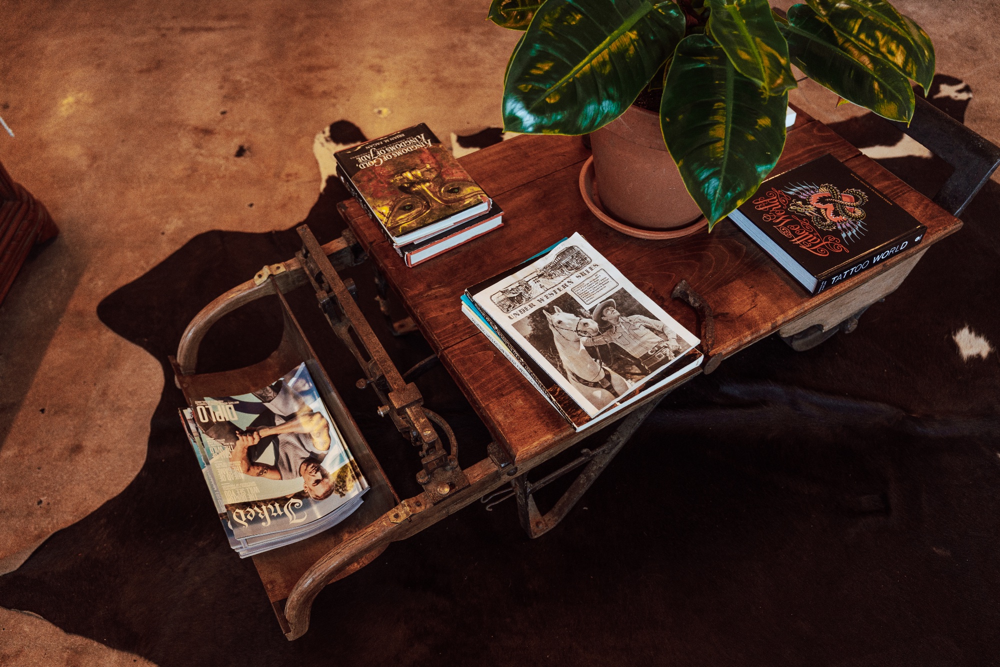 Portfolio 3