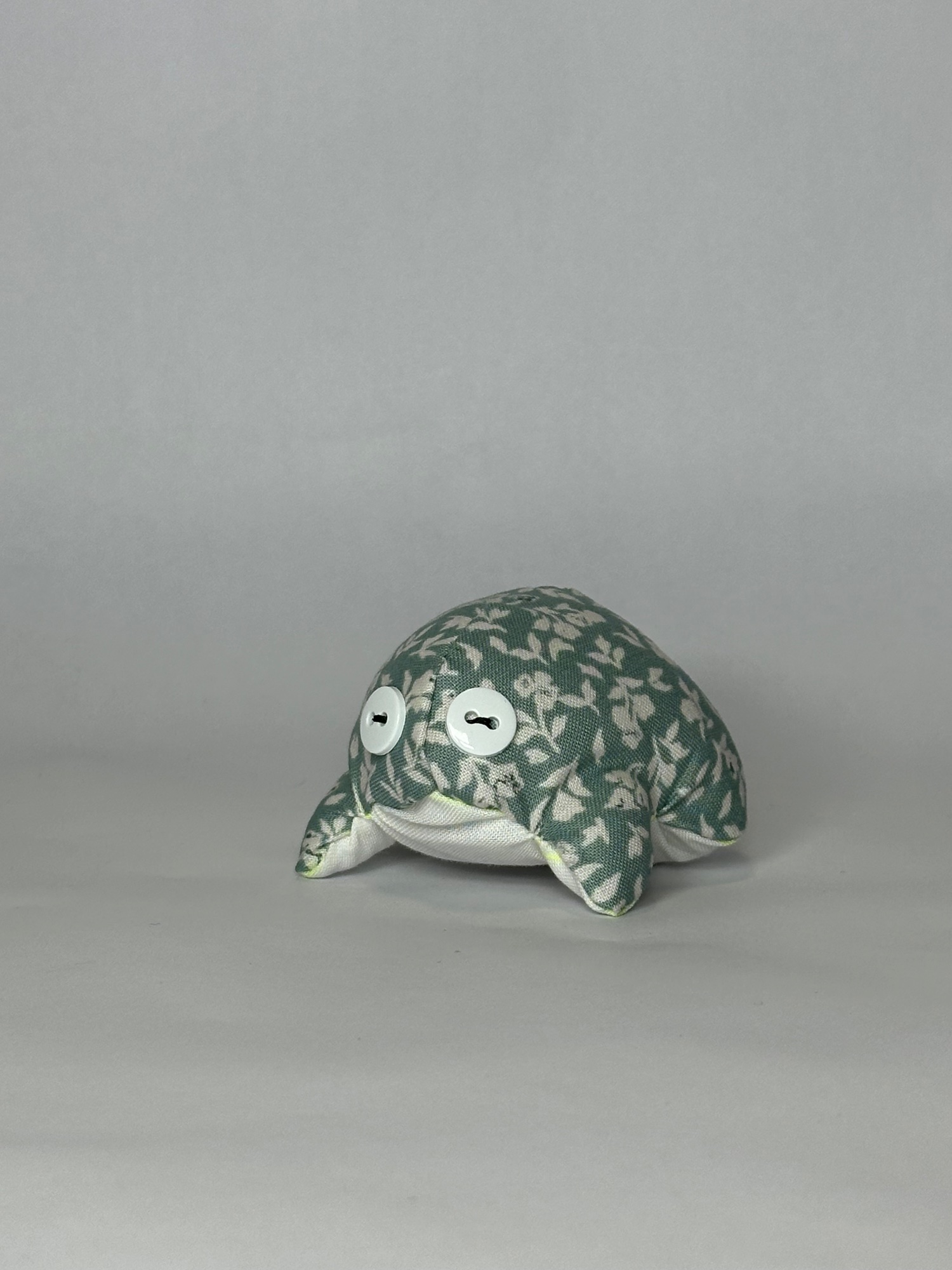 Portfolio 5