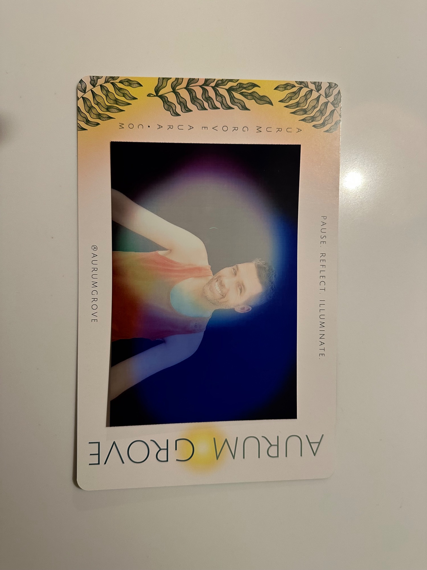 Portfolio 6