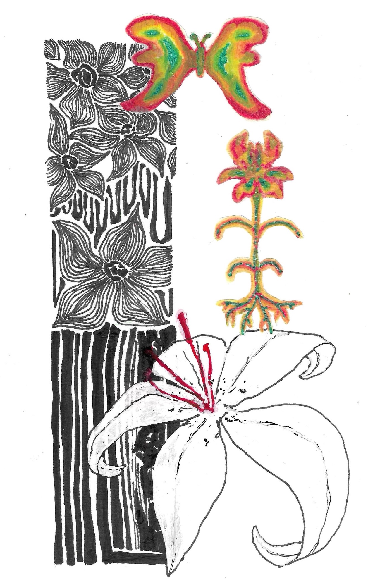 Portfolio 8