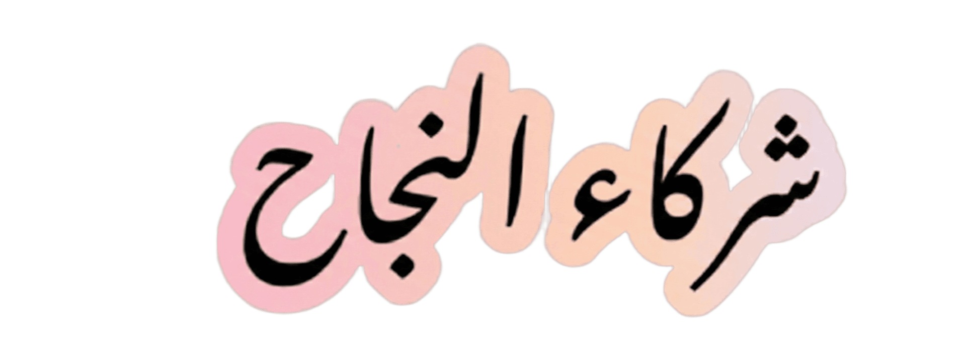 شركاء النجاح