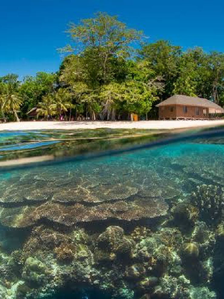 DivingRec: Sabah, Malaysia