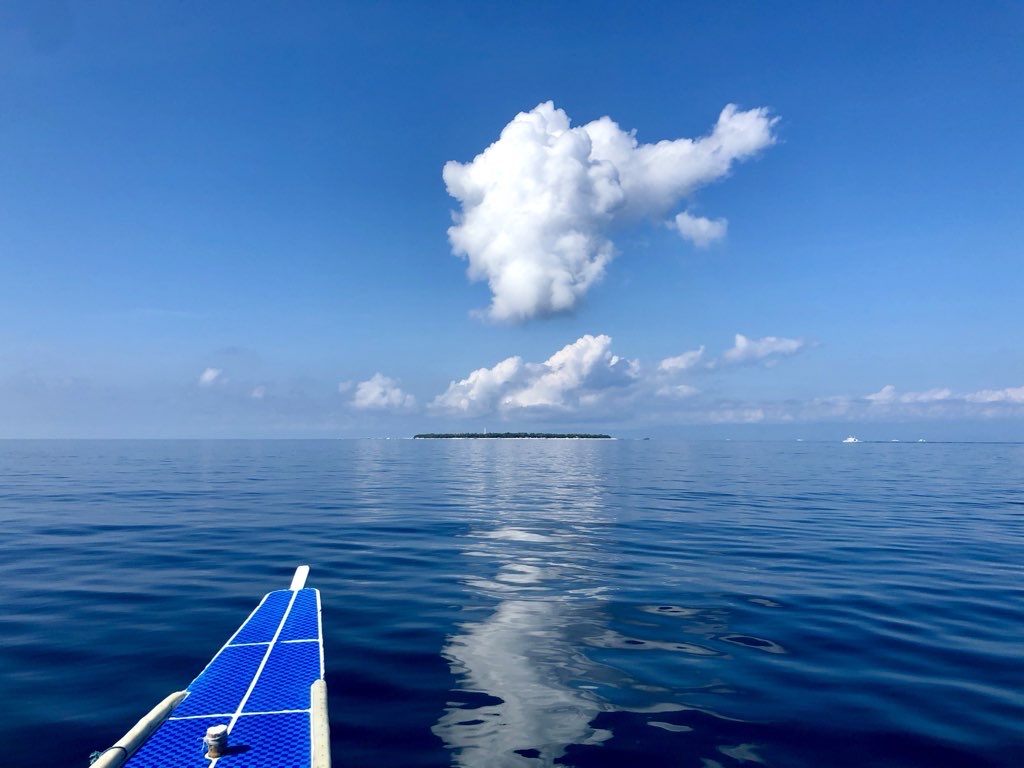 Best diving experience so far