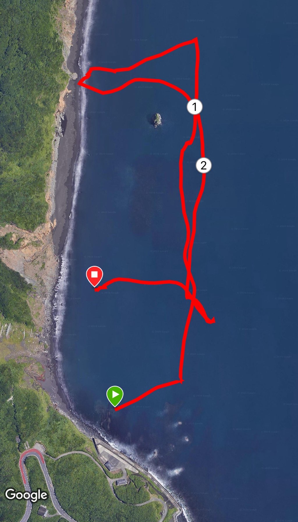 Swam with sea turtles east of Oshima