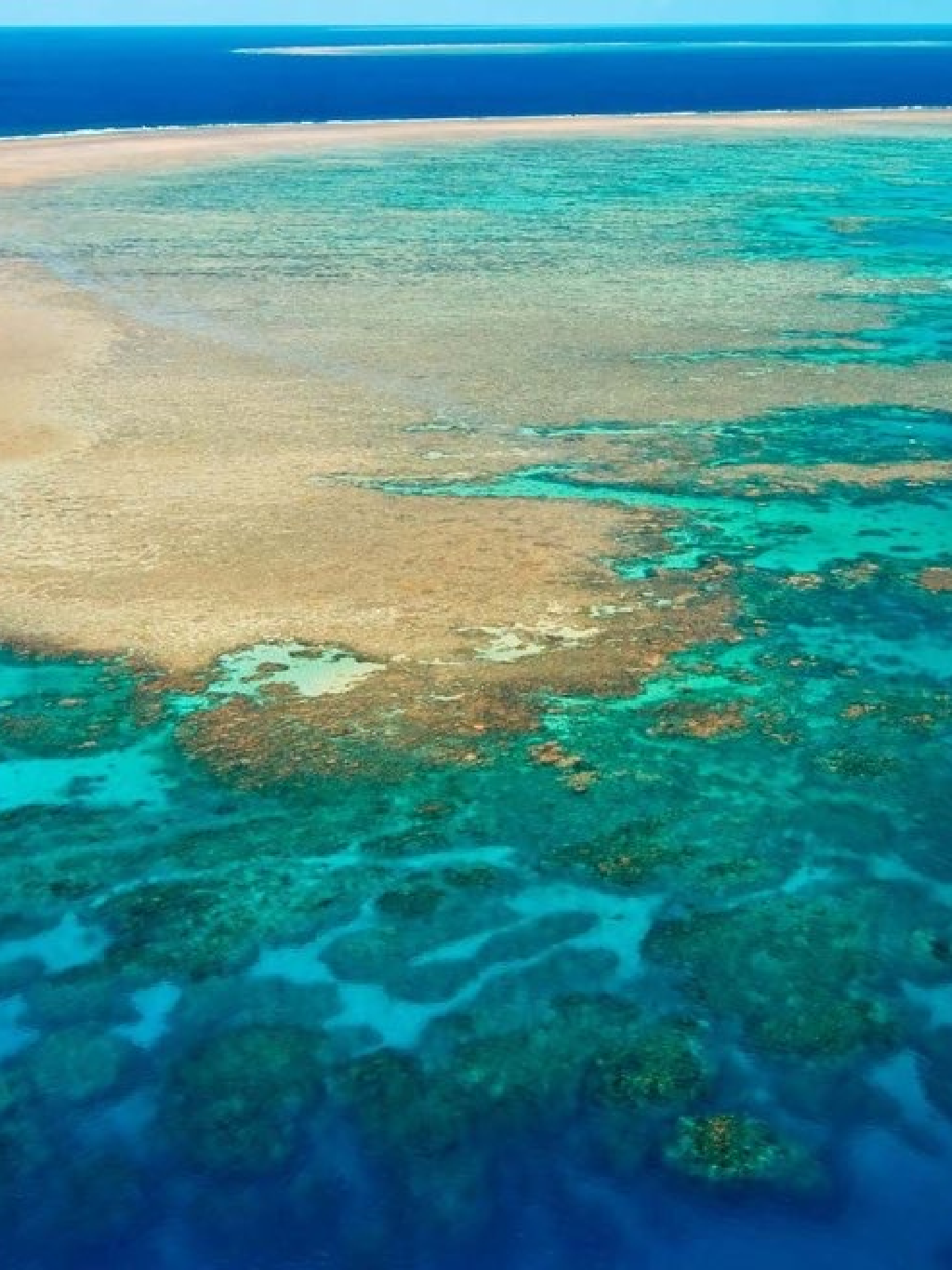 DivingRec: Great Barrier Reef, Australia 