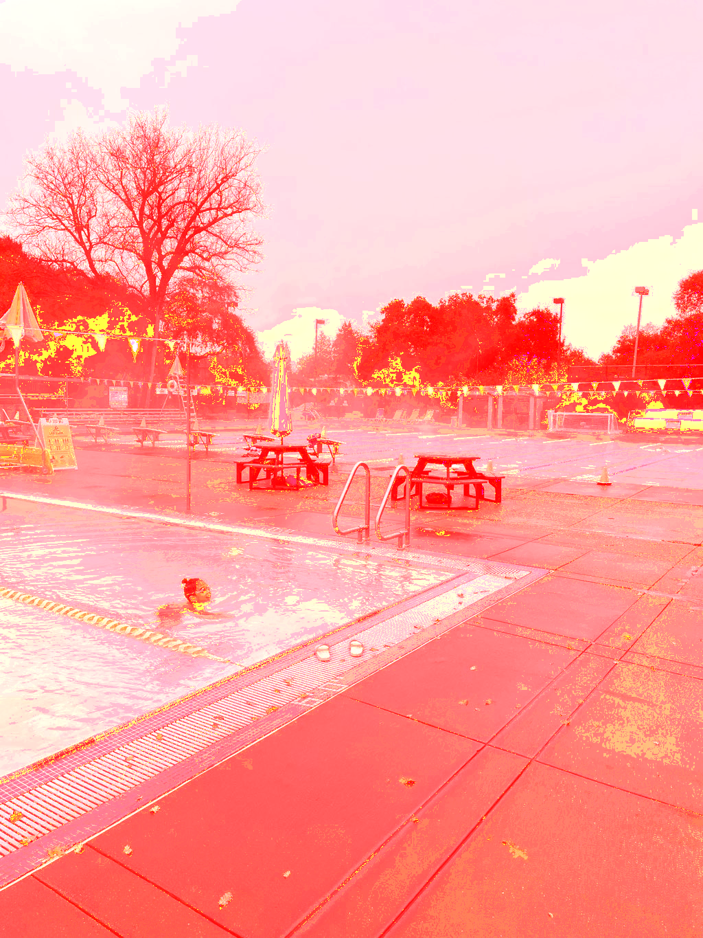 swimming & pool training 