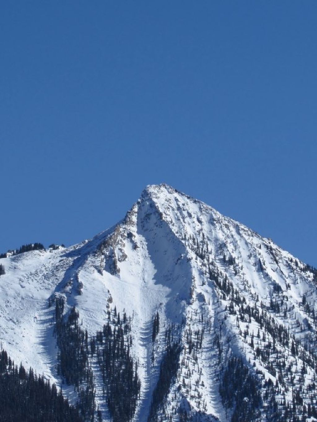 Best Ski Area in Colorado