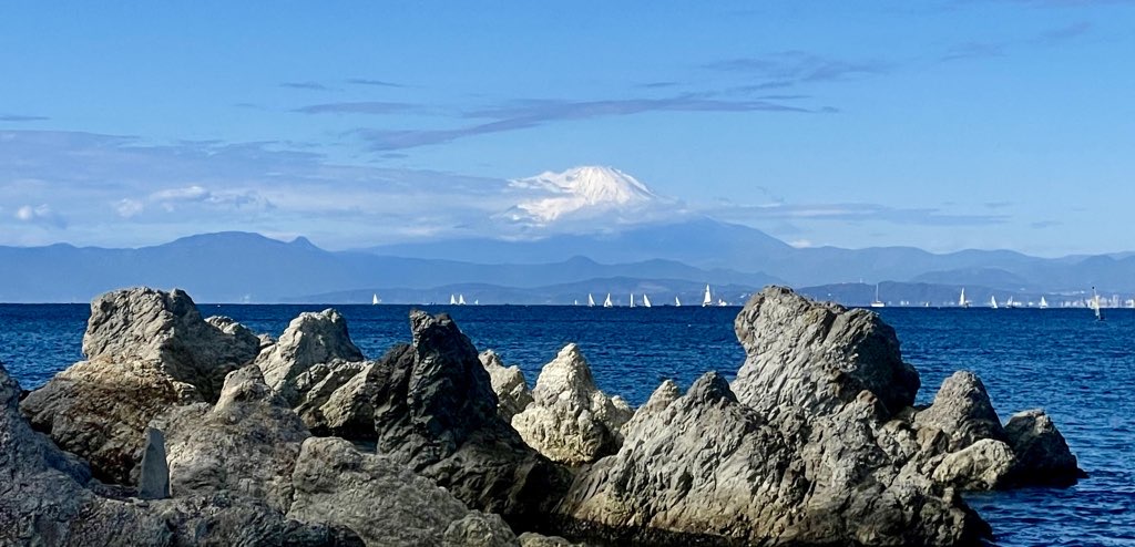 Open water swimming at Zushi