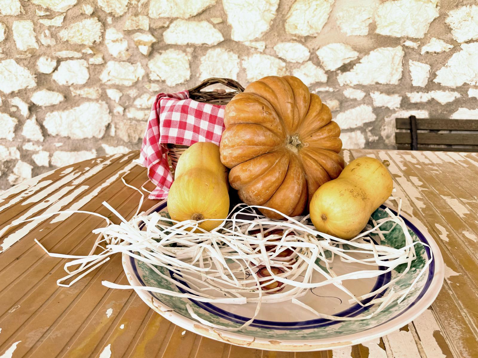 Zucca