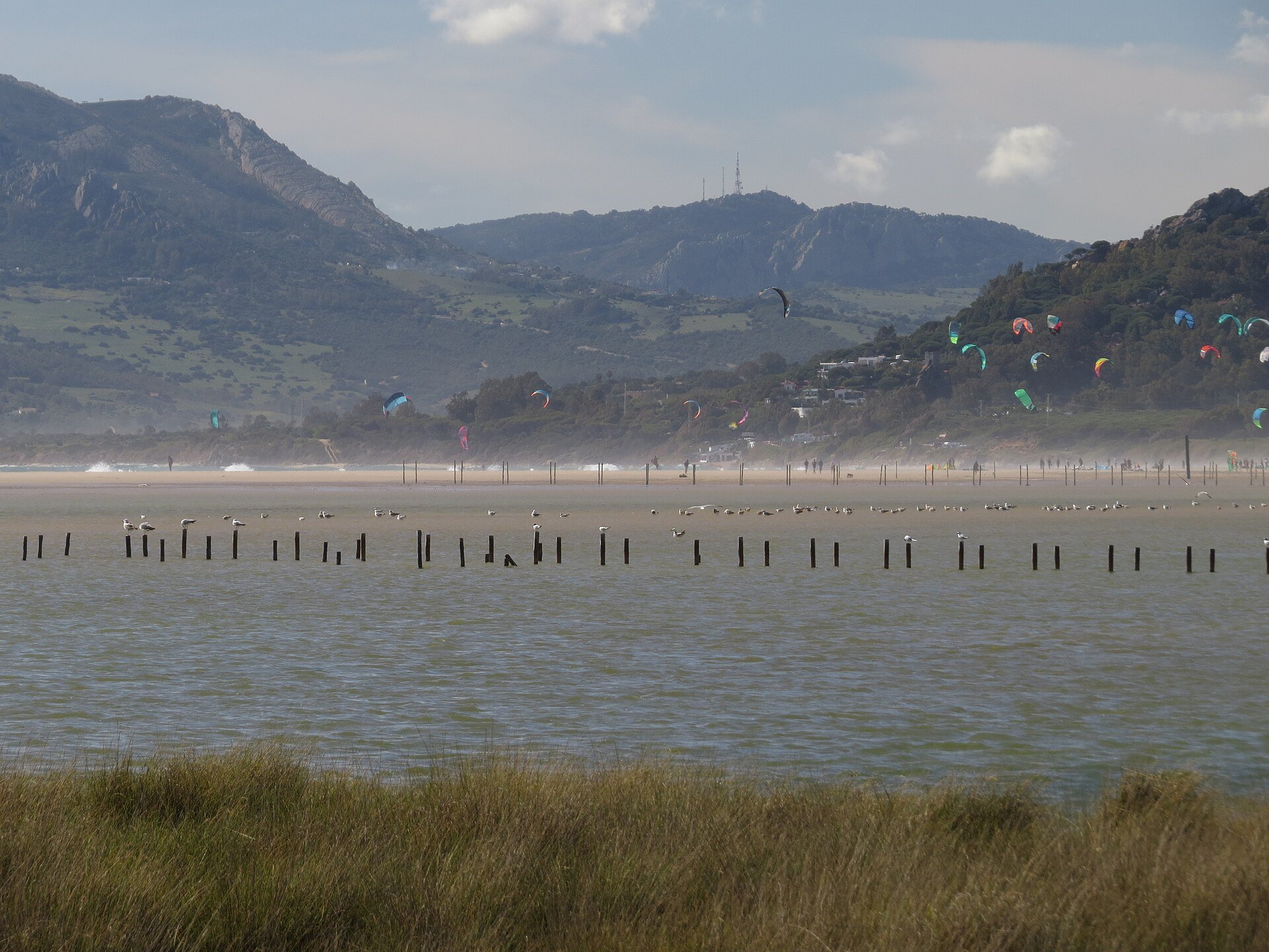 Tarifa - Camping Jara