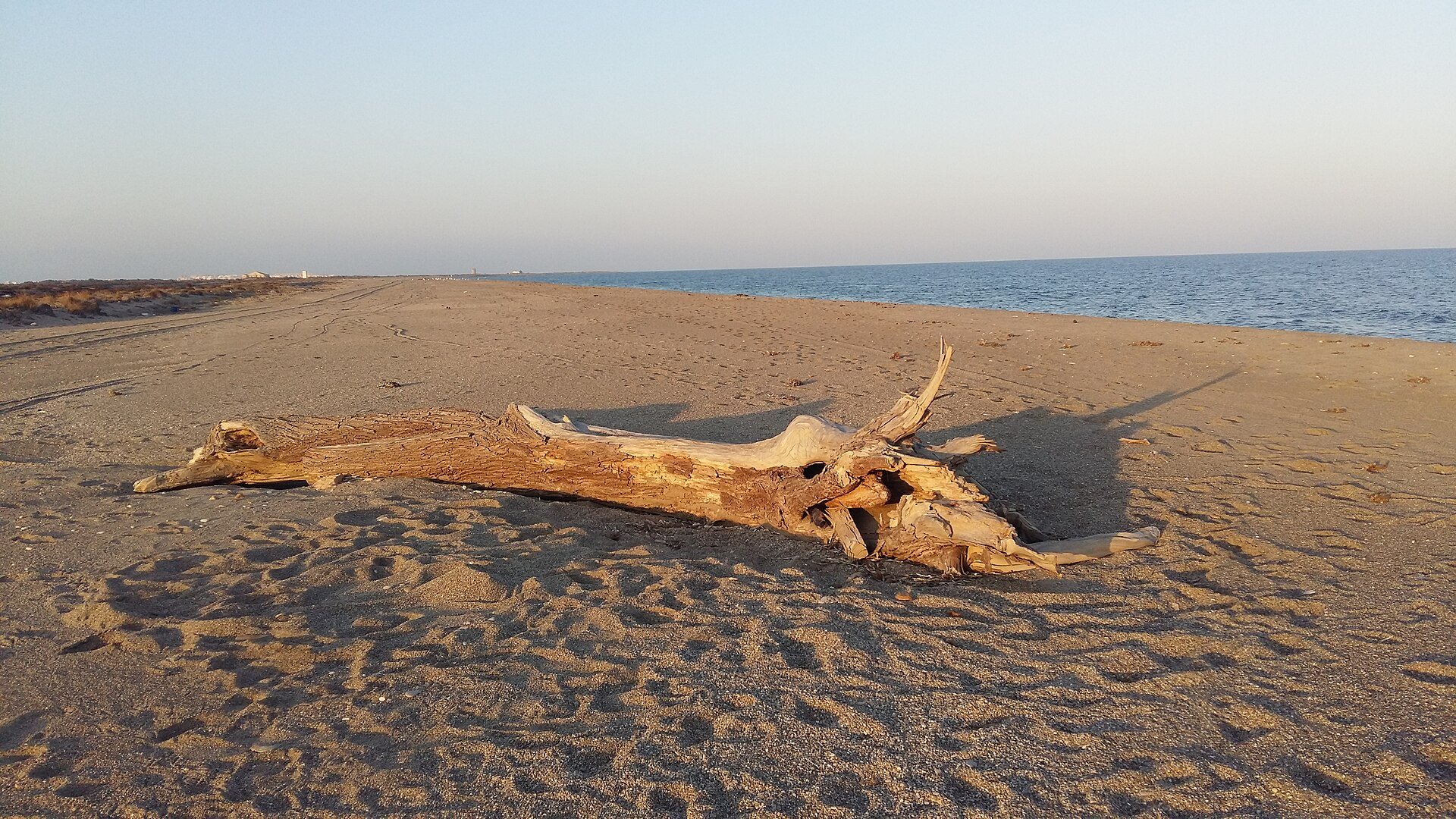 El Ejido - Punta Entinas