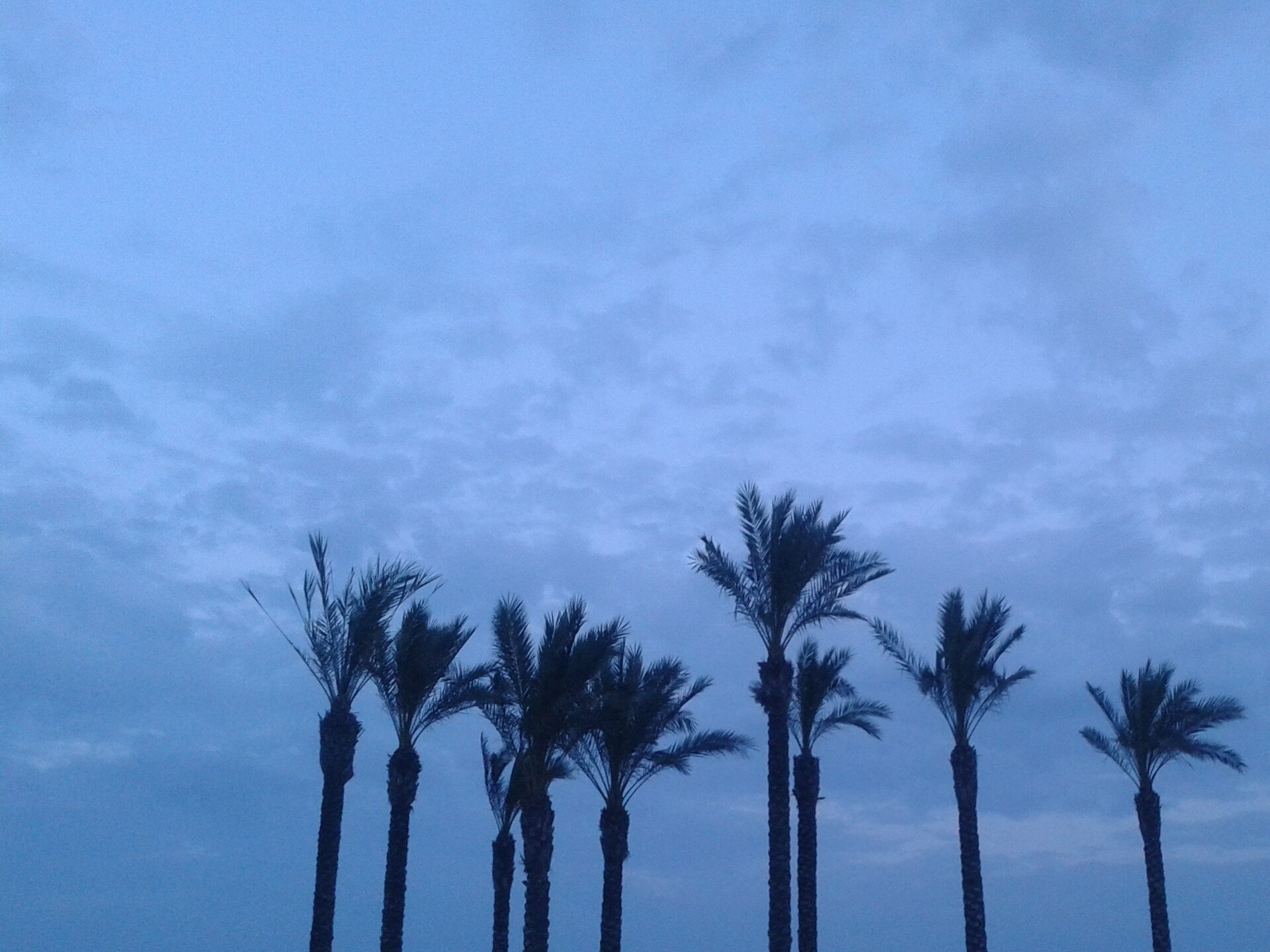 Roquetas de Mar - Las Salinas