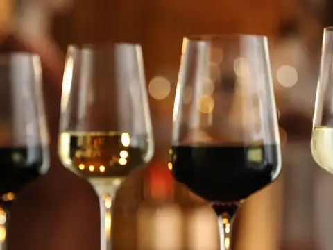 Champagne Tasting