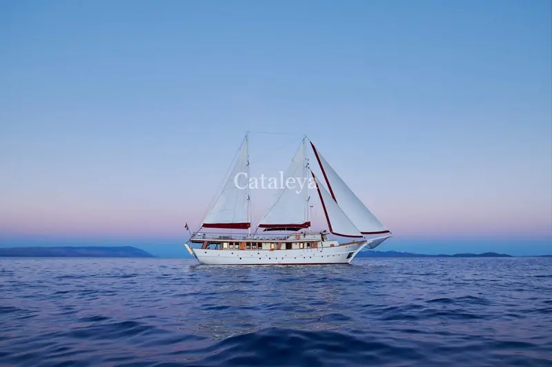 Cataleya – photo 4