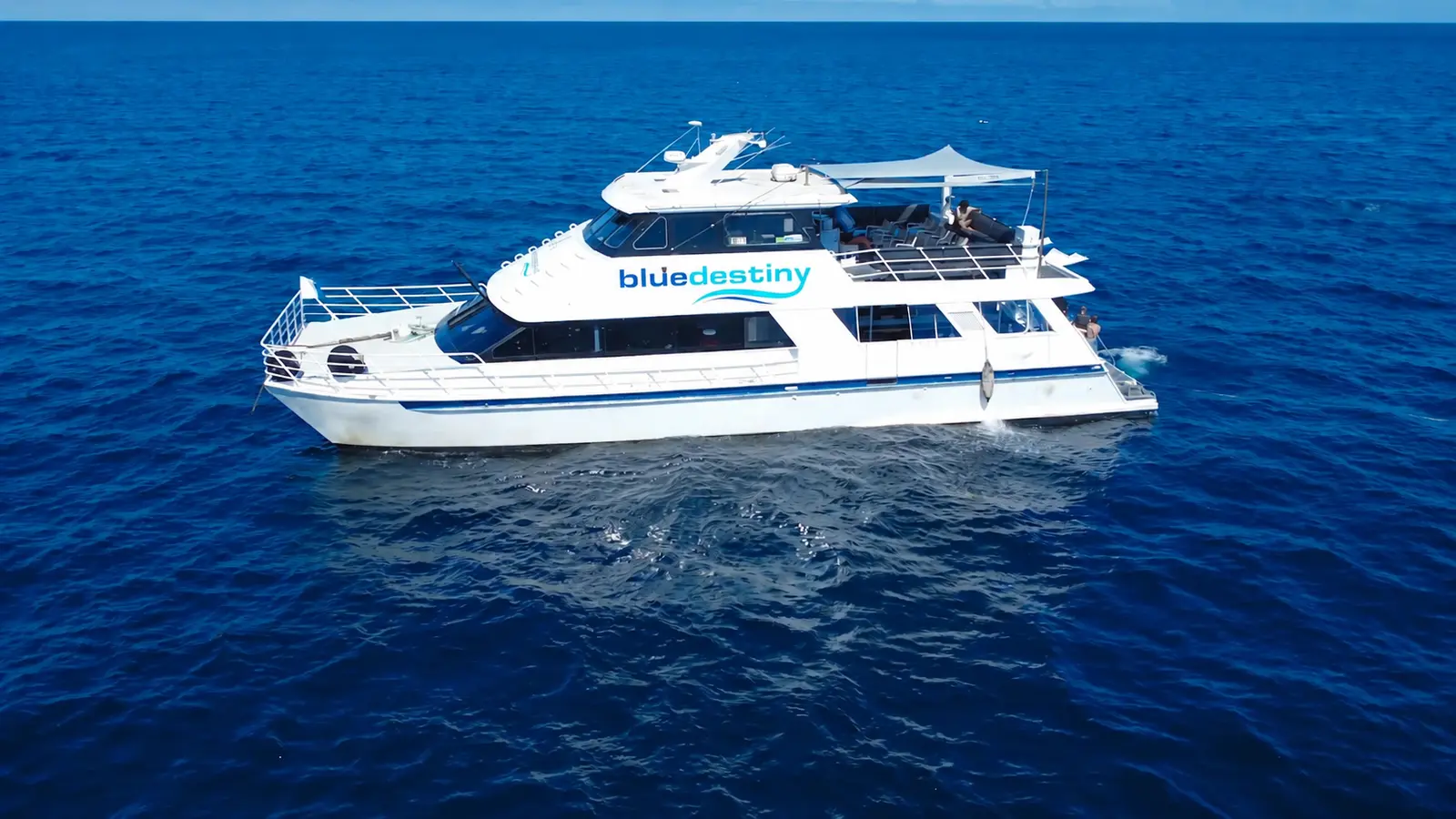 Blue destiny 3
